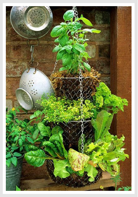 Three tier metal plant stand with greenery in it