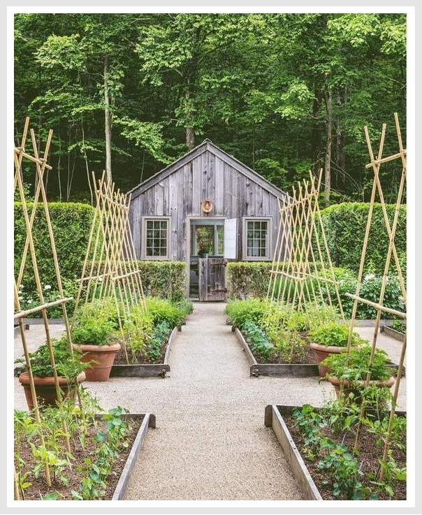 Well-kept outdoor garden with plants, shed in the background.