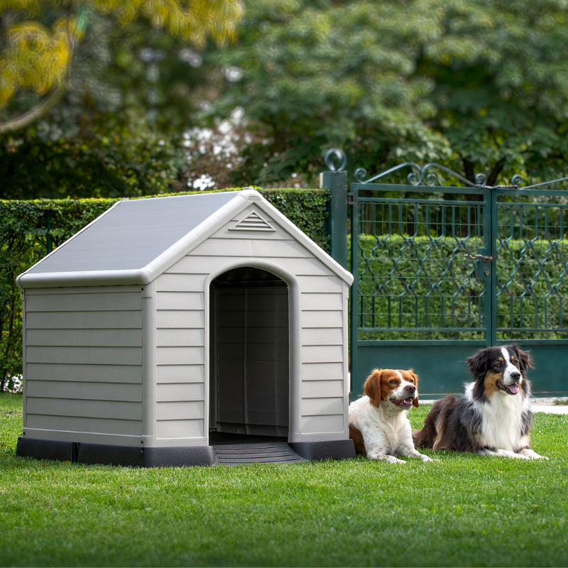 plastic resin dog kennel – Keter SA