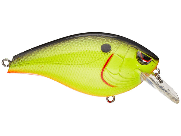 Video Vault Ike Snatching A Crankbait At Spruce Run, 41% OFF