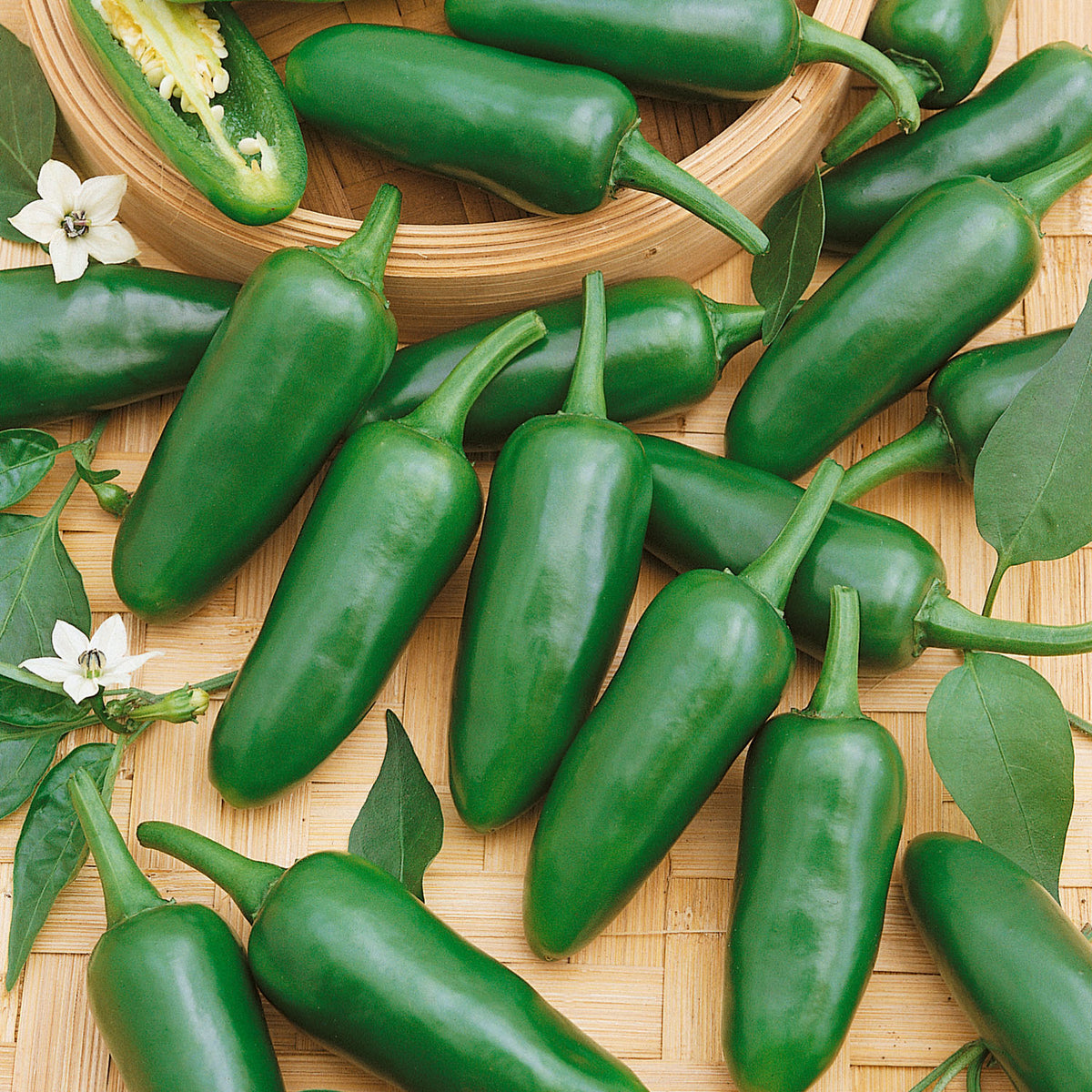Buy Chilli Pepper Jalapeno - Organic Seeds online | Marshalls