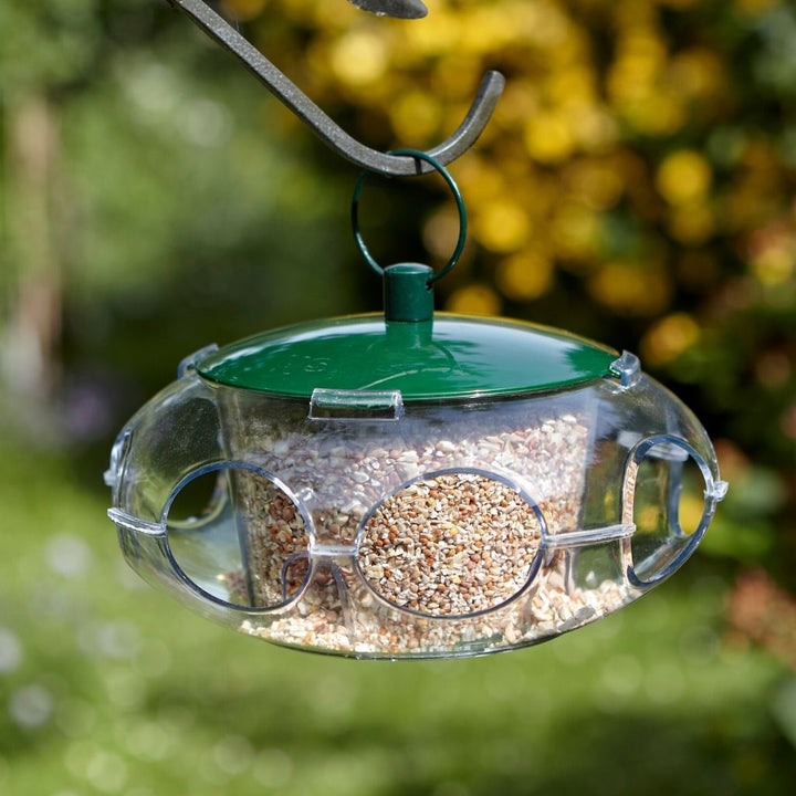 Download Buy Peckish Small Bird Feeder online | Marshalls