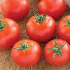 Tomato Seeds Marshalls