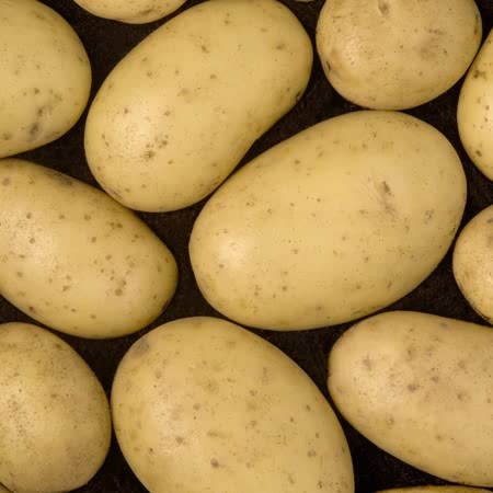 isle of jura seed potatoes