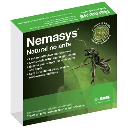 Buy Nemasys No Ants Ant Killer Online Marshalls