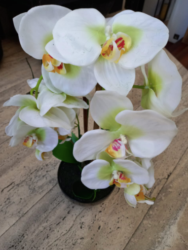 Orquídea alta en base negra – DyG Decoración