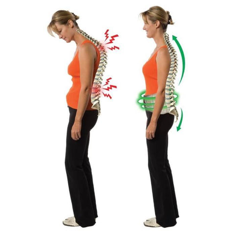 The 8 Best Decompression Belts for Back Pain [Updated May ...