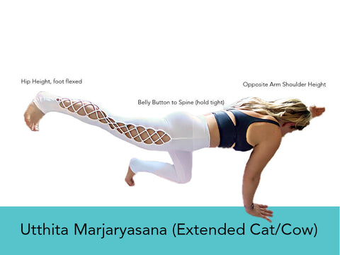Yoga Pose for Balance - Extended Cat Cow | My Yoga Essentials