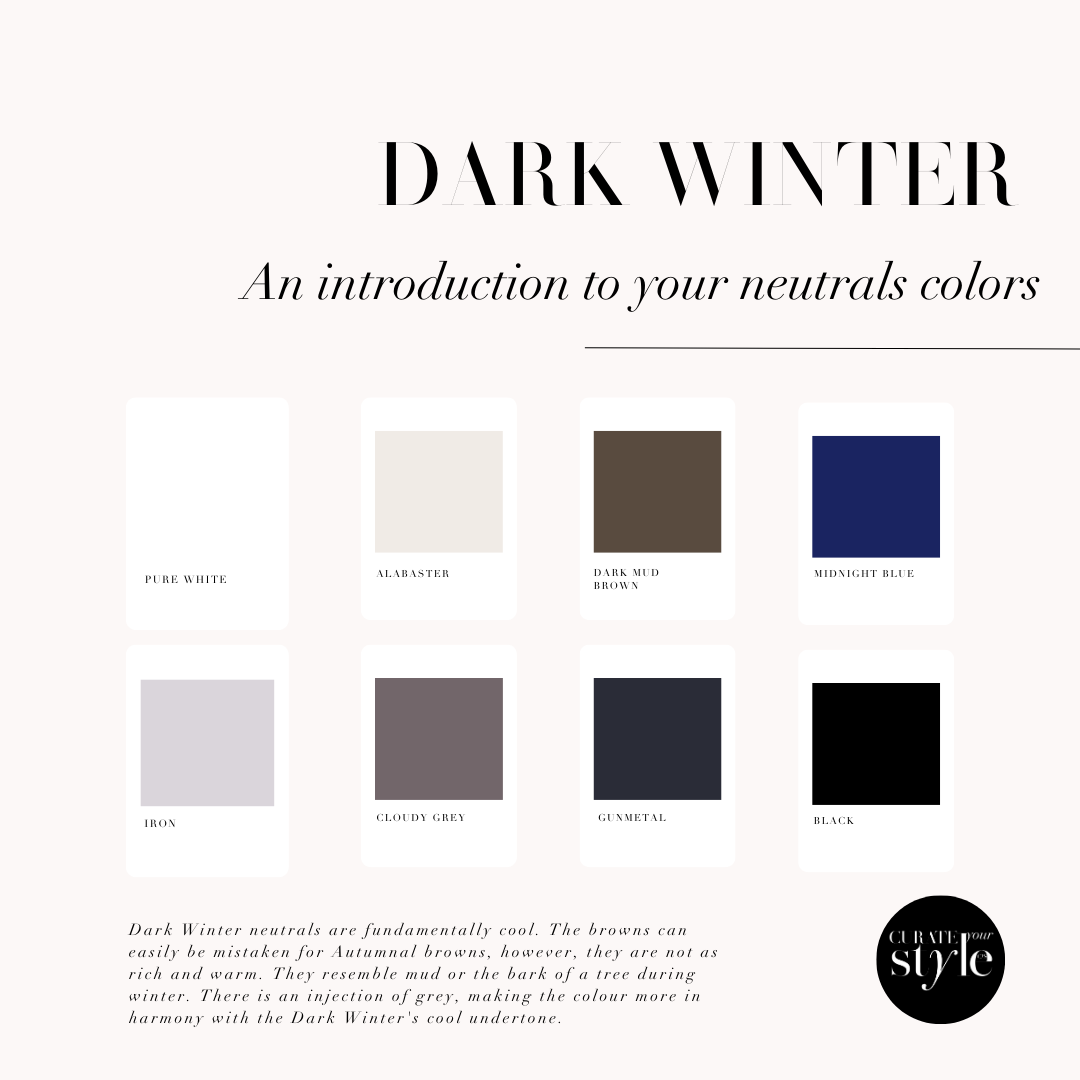 The Dark Winter Palette