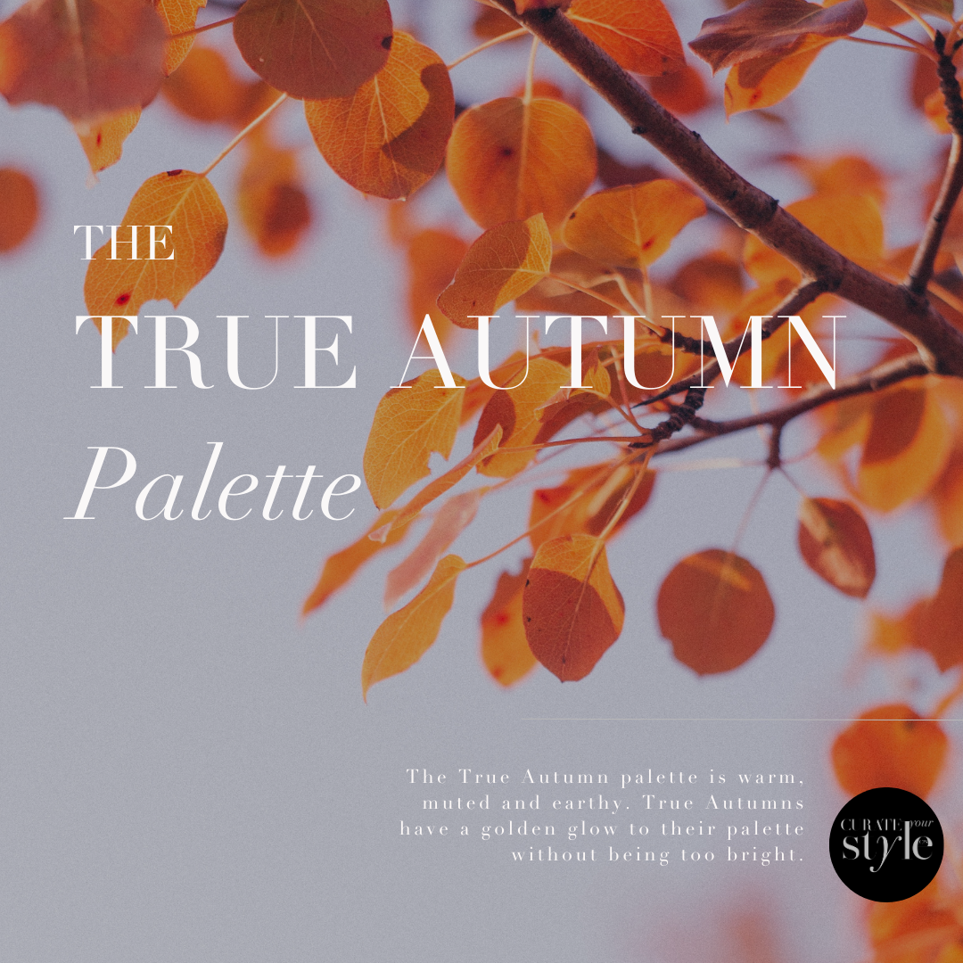 Autumn Color Analysis: The Ultimate Guide for Effortless Style - Lauryncakes