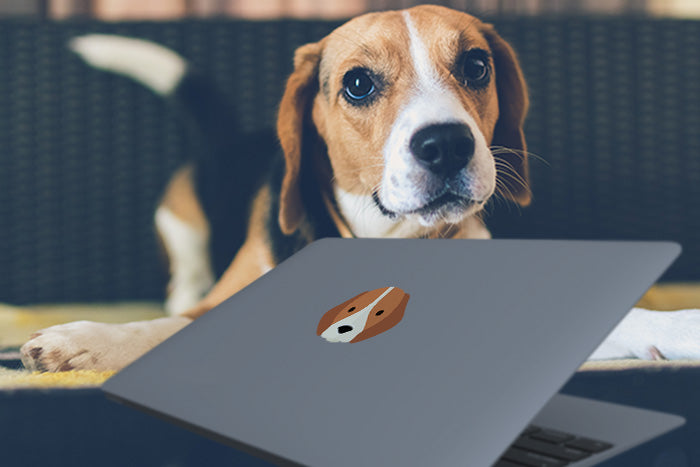 beagle macbook sticker on laptop