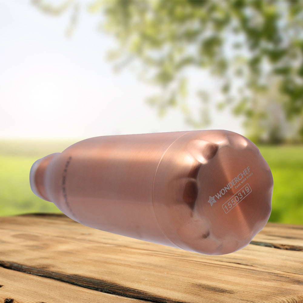 Hydro-Bot, 500ml, Stainless Steel Single Wall Water Bottle, Light Weight, Spill and Leak Proof, Brown, 2 Years Warranty