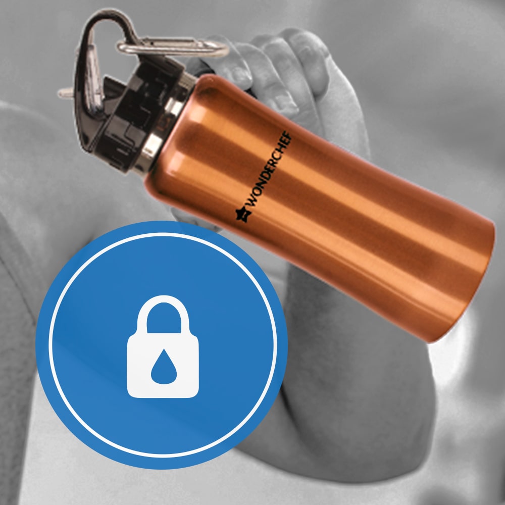 Gym-Bot, 500ml, Stainless Steel Single Wall Water Bottle, Light Weight, Spill and Leak Proof, Brown, 2 Years Warranty