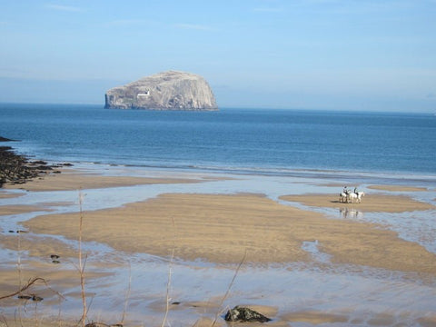 Seacliff Beach | Scottish Beaches | Ben's Beach