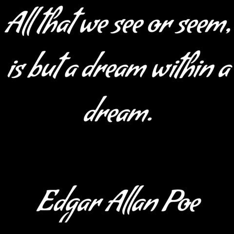 All that we see or seem, is but a dream within a dream - Edgar Allan Poe