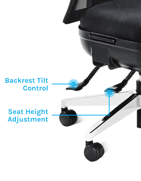 Highly Adjustable