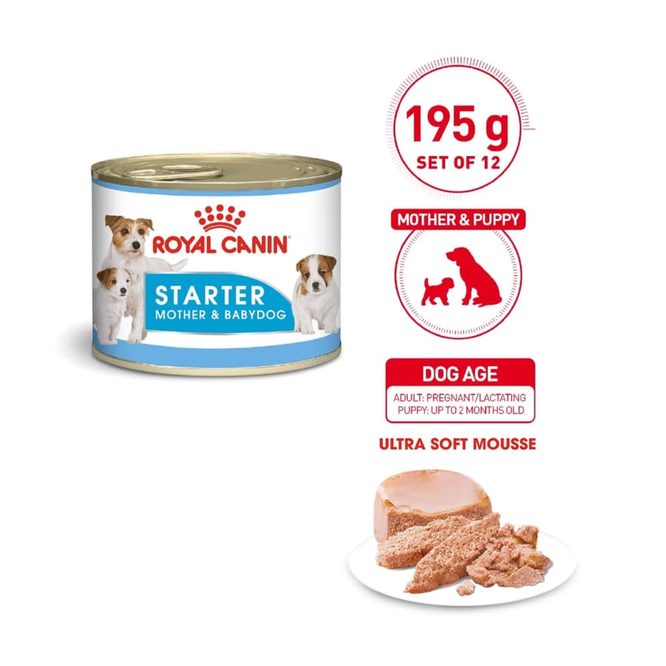 royal canin mother and baby mousse