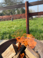 cooking with flaming firewood to get a bed of coals for cooking hot cross buns