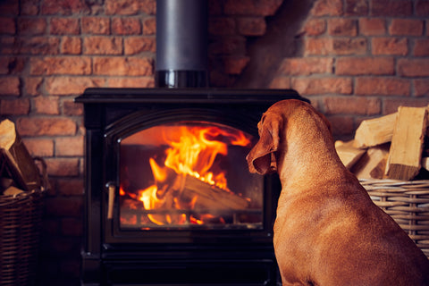 dog by the wood burning stove