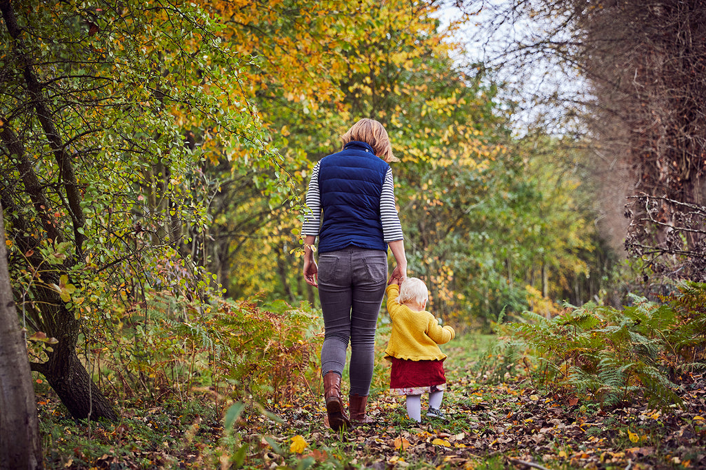 Autumn walk in the woodland