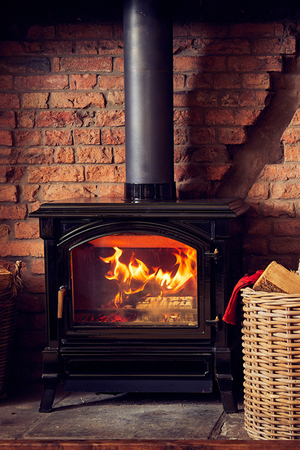 modern eco design wood burning stove