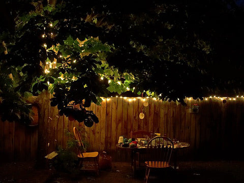 outdoor design garden at night