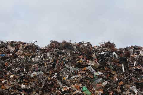 landfill sites caused by food waste