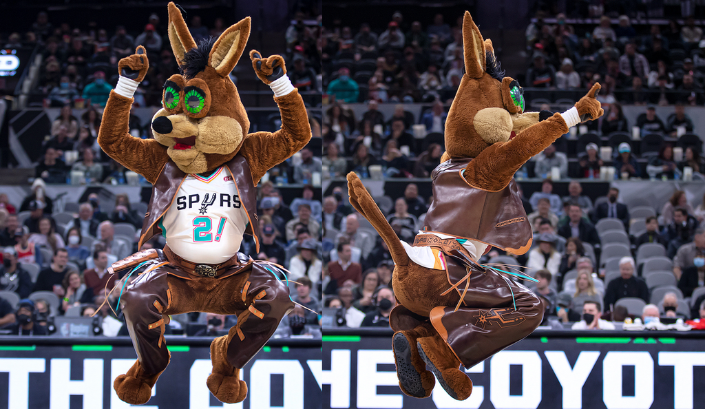 Spurs Coyote is seen jumping with knees belt up and fingers pointing orchestrating the 18000 fans at the game to chant while wearing his new leather chaps and vest made by Bexar goods.