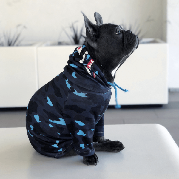 bape hoodie dog