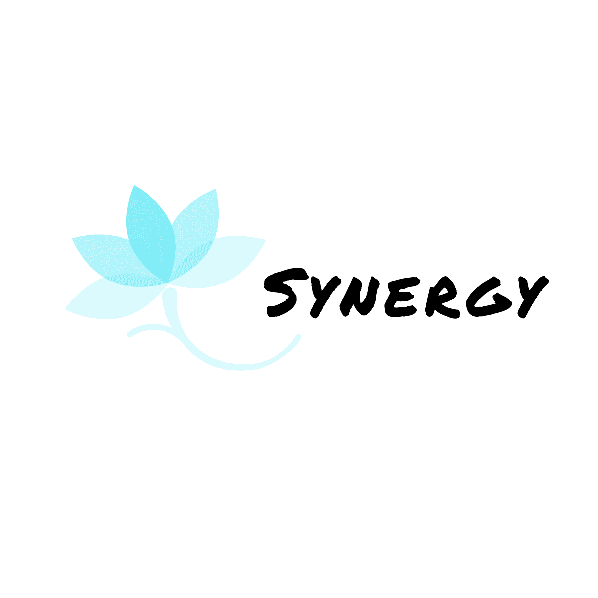 Health Synergy Store