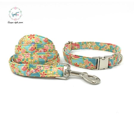 female dog collars and leashes