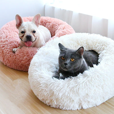 plush dog bed