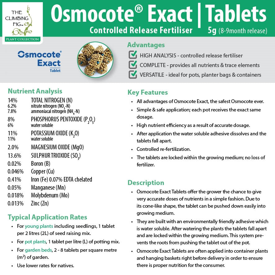 Osmocote Exact 8 9 Month Controlled Slow Release Fertiliser Tablets For Pots Ebay