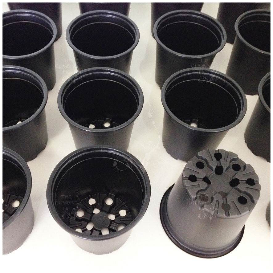 120mm Teku Round BLACK Plastic  Pots  Ideal for potting  