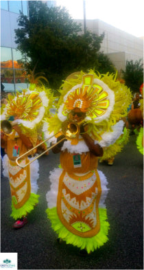 National Folk Festival NC Bahamas Junkanoo - Nailah's Shea