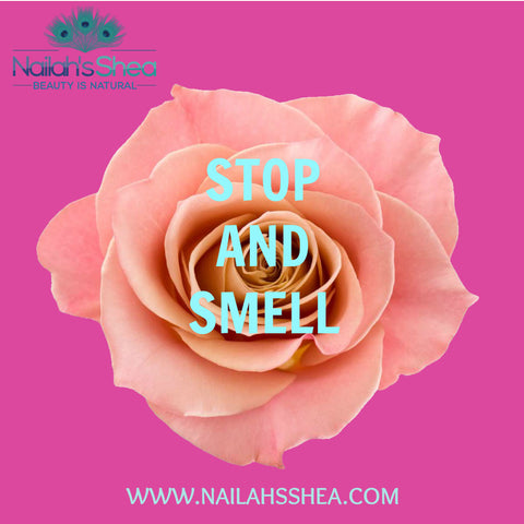 Stop and smell the roses - Nailah's Shea