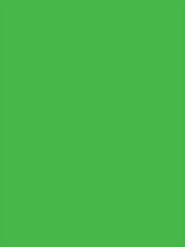 Green Screen Cloth Backdrop | Denny Mfg. - Denny Manufacturing