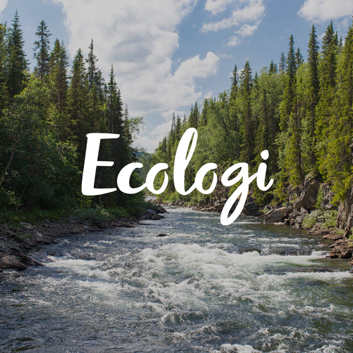 Ecologi_Brand_1x1_25.jpg__PID:b5ef0693-ed22-4f2d-8fed-c18922175878