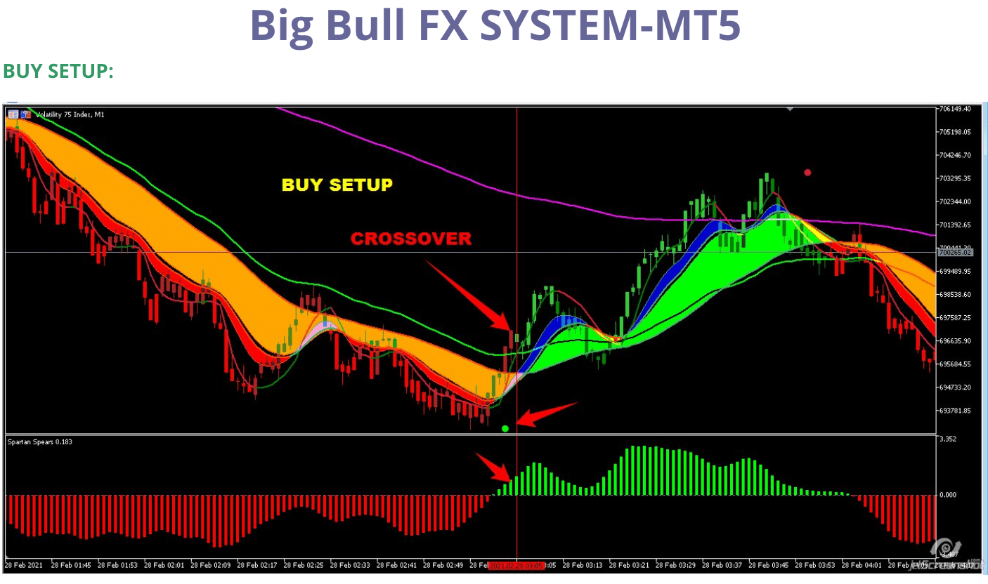 Big Bull FX SYSTEM – MT5