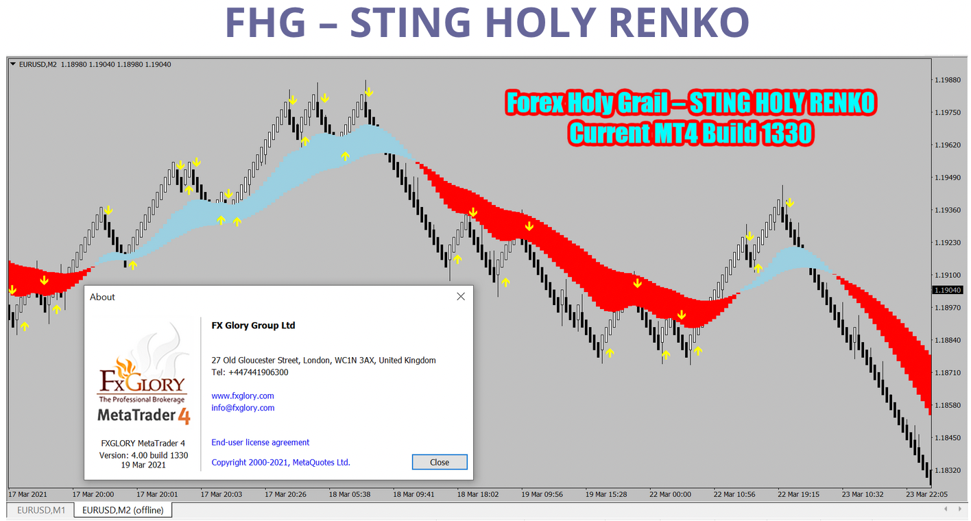 FHG – STING HOLY RENKO