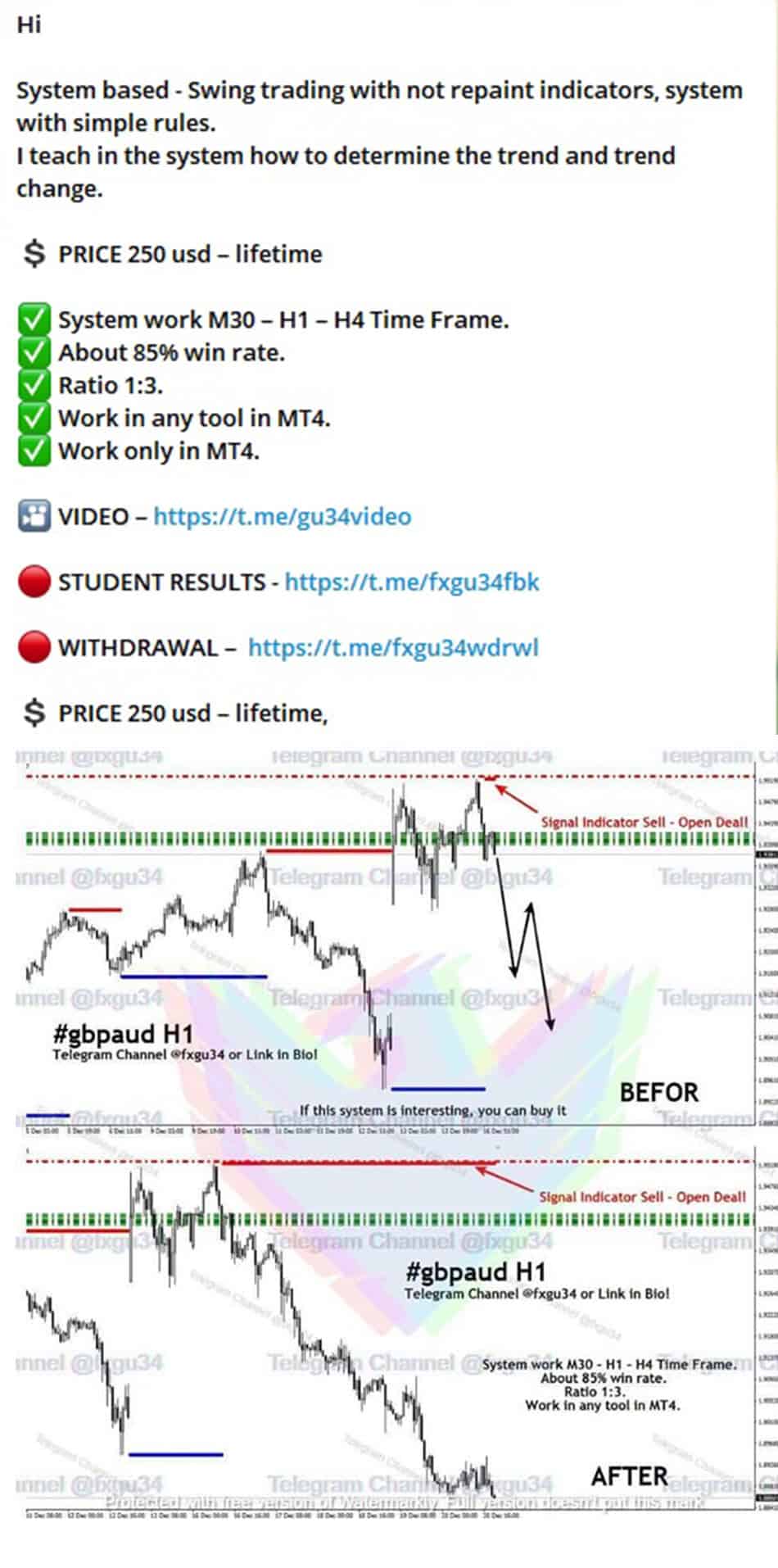 budgetforex.com download