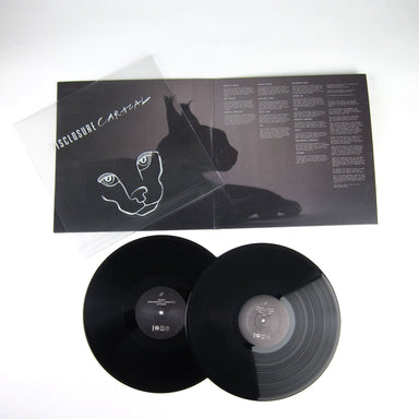 Disclosure: Vinyl 2LP — TurntableLab.com
