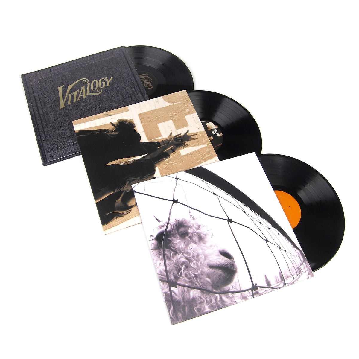 Lp album. Pearl Jam "Vitalogy". Pearl Jam - vs. & Vitalogy Deluxe Edition. Brandy 1994 LP Vinyl. LP Jams logo.