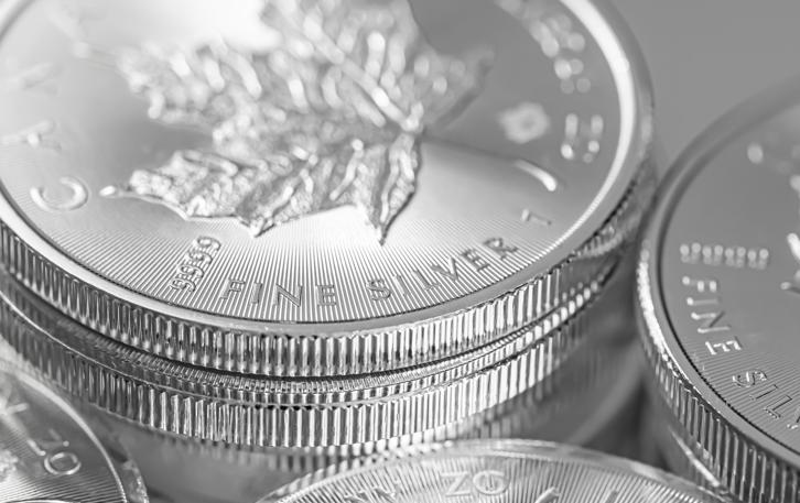 Investment grade silver Canadian coins