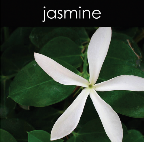 Jasmine - Scented Wax Cube Melts