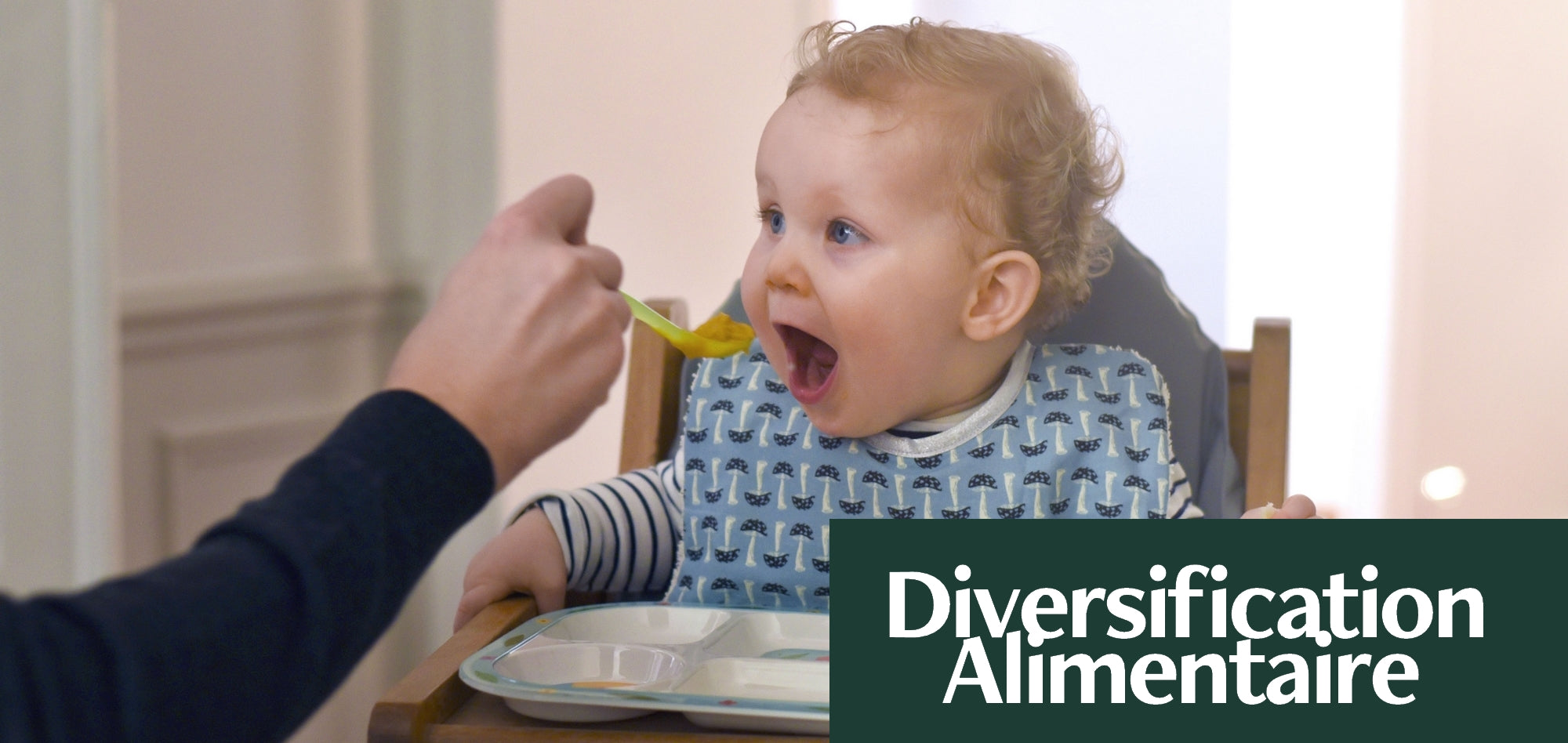 La Diversification Alimentaire Qu Est Ce Que C Est Little Gustave