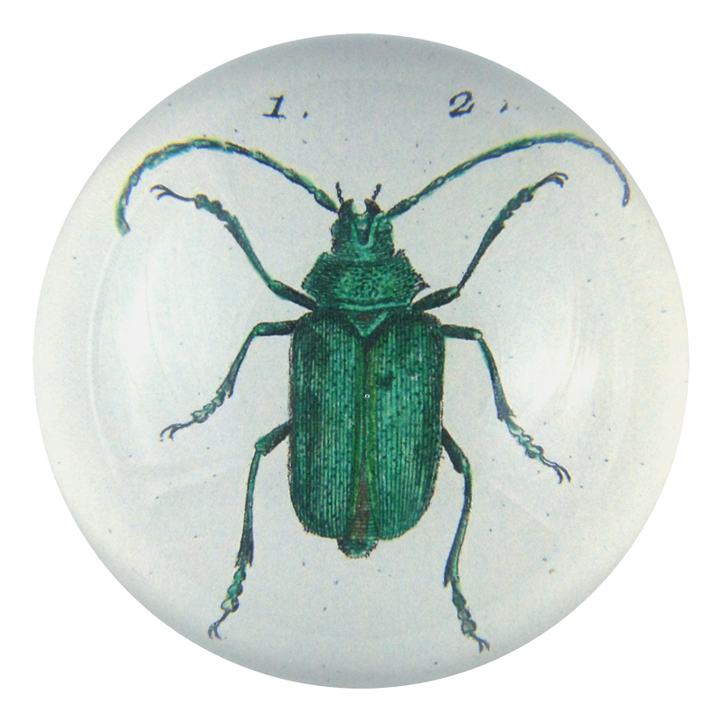 Scarab (Green Beetle) — John Derian Company Inc