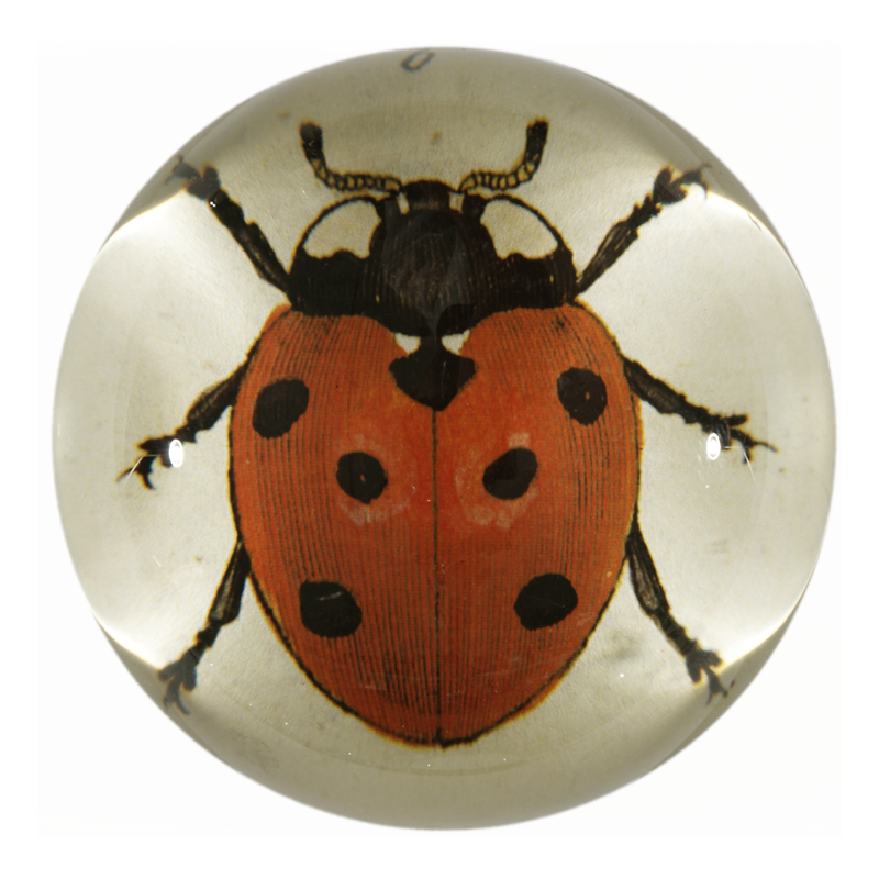 Red Ladybug — John Derian Company Inc