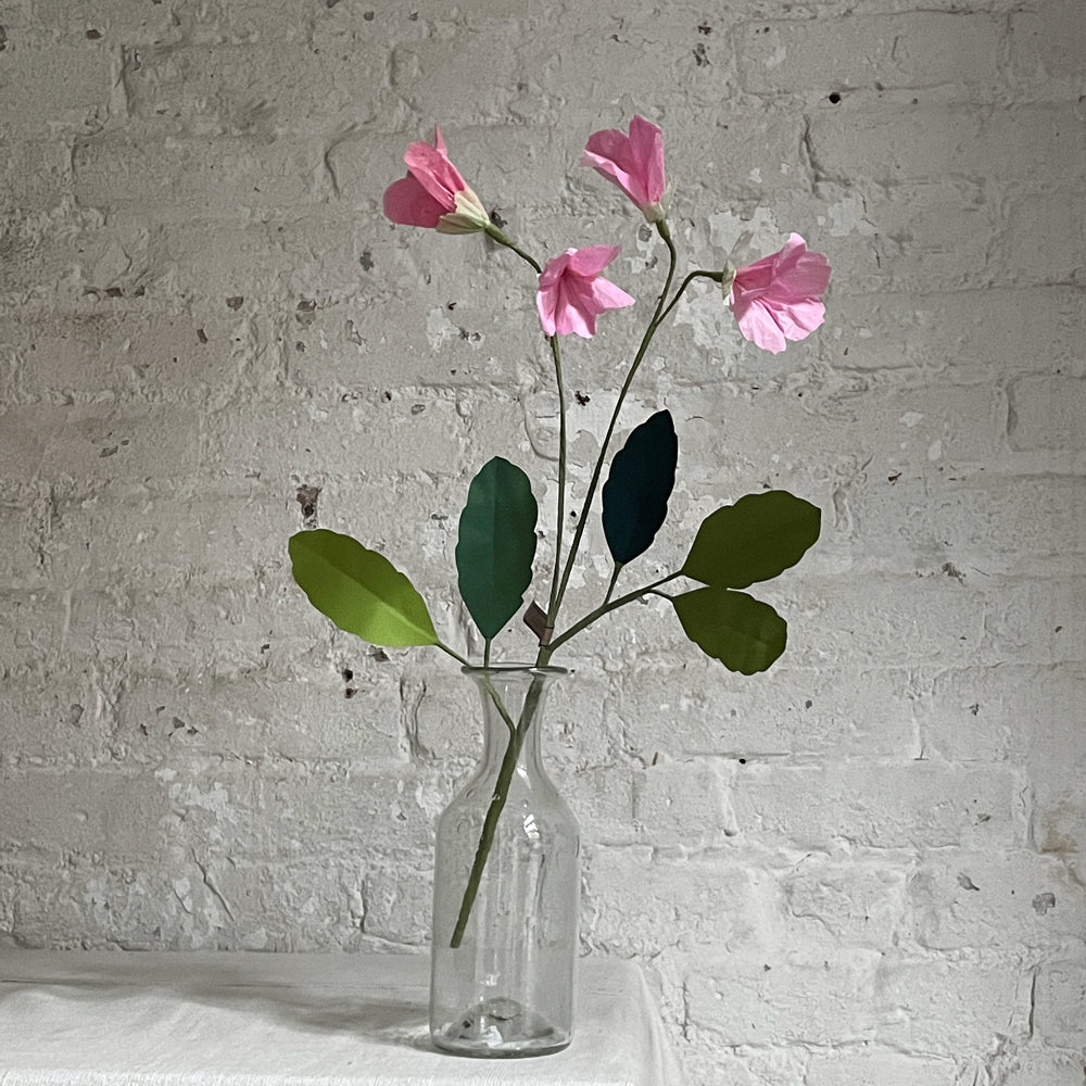 The Green Vase Clover Stem in Pink with Green Tipped Leaves
