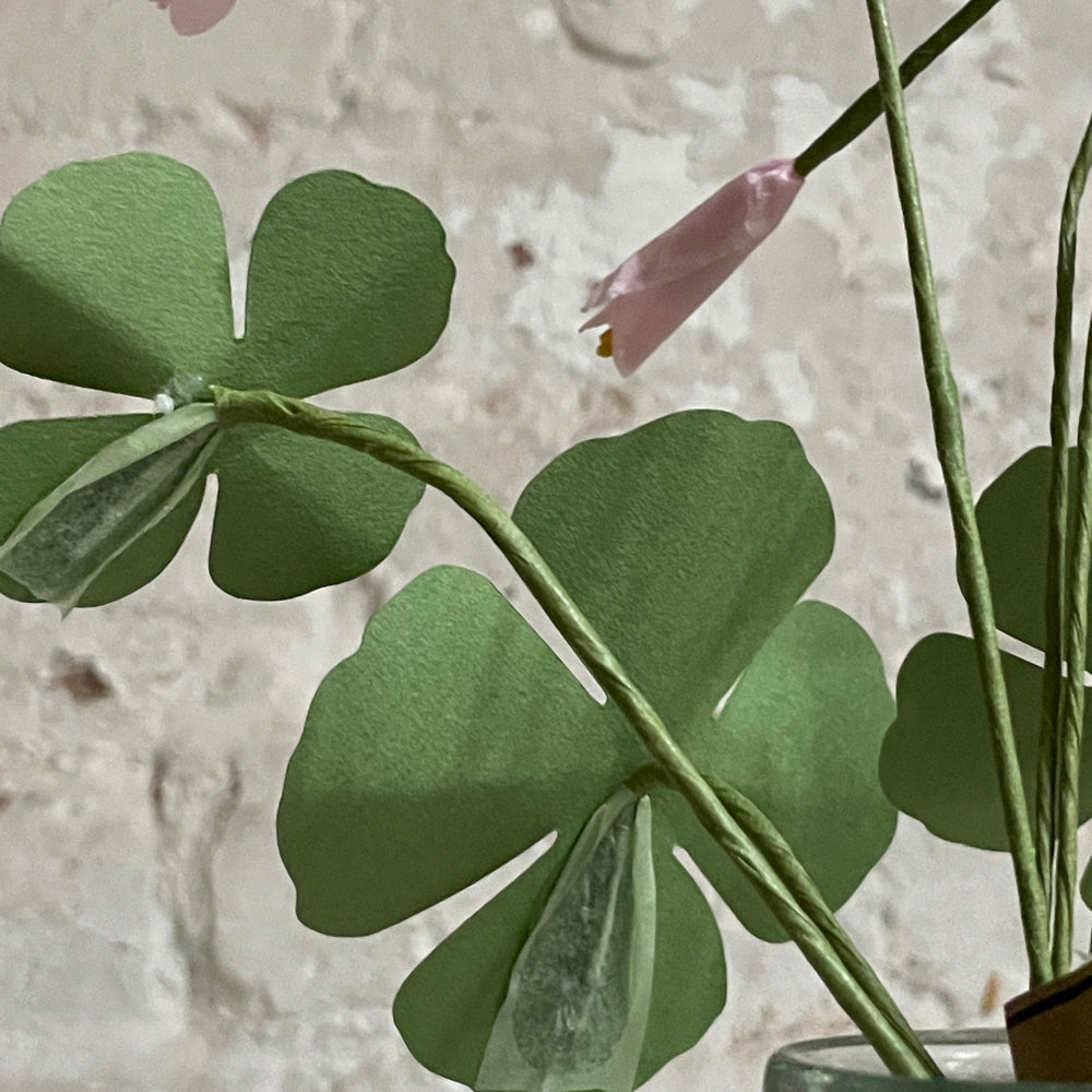 The Green Vase Clover Stem in Pink with Red Tipped Leaves